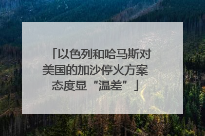 以色列和哈马斯对美国的加沙停火方案态度显“温差”