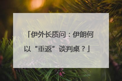 伊外长质问：伊朗何以“重返”谈判桌？