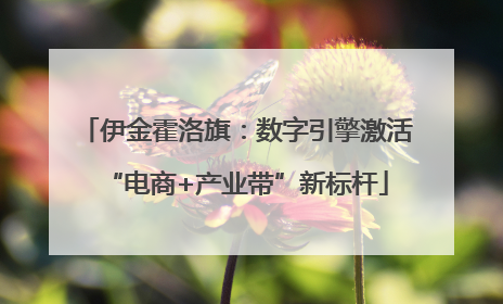 伊金霍洛旗：数字引擎激活“电商+产业带”新标杆