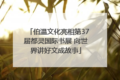 伯温文化亮相第37届都灵国际书展 向世界讲好文成故事