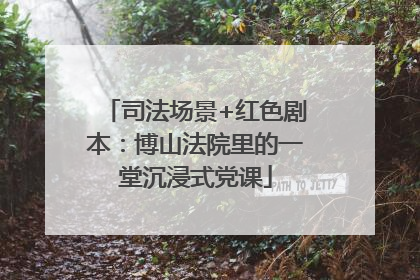 司法场景+红色剧本：博山法院里的一堂沉浸式党课
