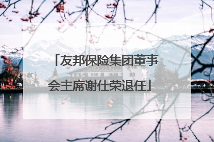 友邦保险集团董事会主席谢仕荣退任