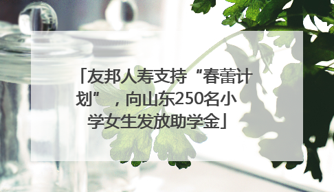 友邦人寿支持“春蕾计划”，向山东250名小学女生发放助学金