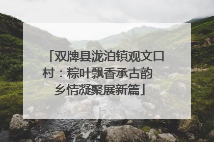双牌县泷泊镇观文口村：粽叶飘香承古韵 乡情凝聚展新篇