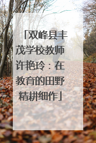 双峰县丰茂学校教师许艳玲：在教育的田野精耕细作