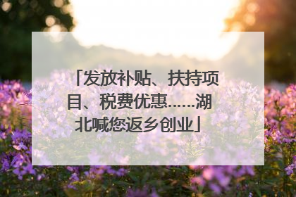 发放补贴、扶持项目、税费优惠……湖北喊您返乡创业