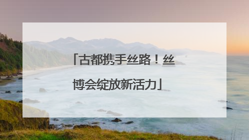古都携手丝路！丝博会绽放新活力