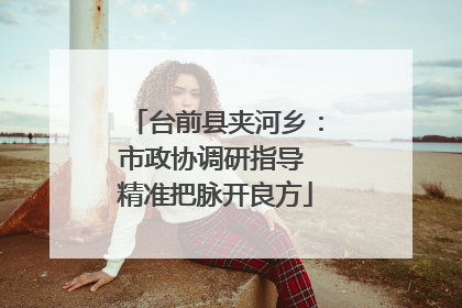 台前县夹河乡：市政协调研指导 精准把脉开良方
