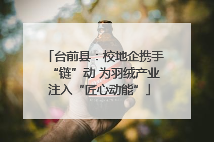 台前县：校地企携手“链”动 为羽绒产业注入“匠心动能”