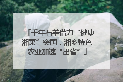 千年石羊借力“健康湘菜”突围，湘乡特色农业加速“出省”