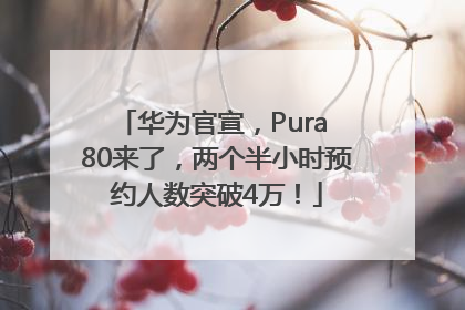 华为官宣，Pura 80来了，两个半小时预约人数突破4万！