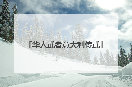 华人武者意大利传武
