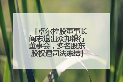 卓尔控股董事长阎志退出众邦银行董事会，多名股东股权遭司法冻结