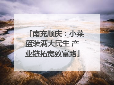南充顺庆：小菜篮装满大民生 产业链拓宽致富路