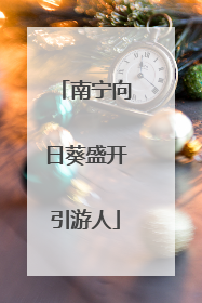 南宁向日葵盛开引游人