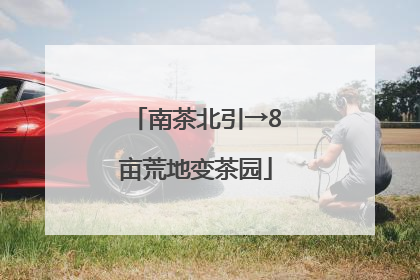 南茶北引→8亩荒地变茶园