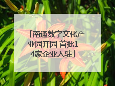南通数字文化产业园开园 首批14家企业入驻