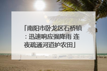 南阳市卧龙区石桥镇：迅速响应强降雨 连夜疏通河道护农田