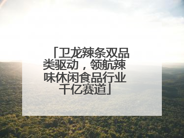 卫龙辣条双品类驱动，领航辣味休闲食品行业千亿赛道