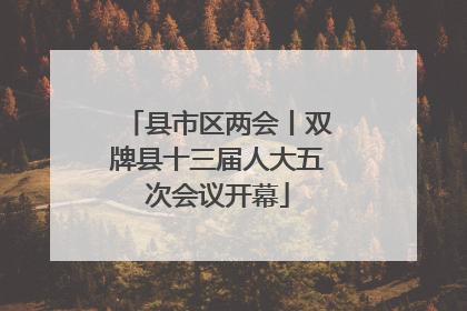县市区两会丨双牌县十三届人大五次会议开幕