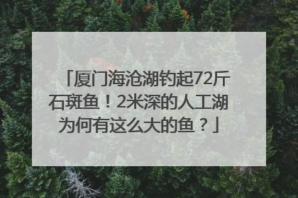 厦门海沧湖钓起72斤石斑鱼！2米深的人工湖为何有这么大的鱼？