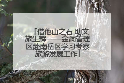借他山之石 助文旅生辉——金洞管理区赴南岳区学习考察旅游发展工作