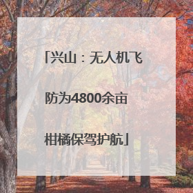 兴山：无人机飞防为4800余亩柑橘保驾护航