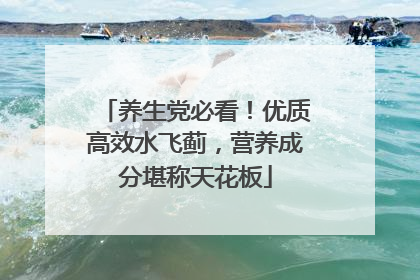 养生党必看！优质高效水飞蓟，营养成分堪称天花板