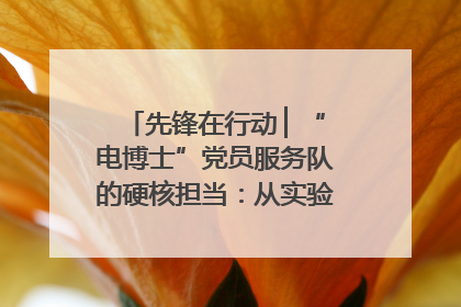 先锋在行动 ▏“电博士”党员服务队的硬核担当：从实验室到抗洪一线