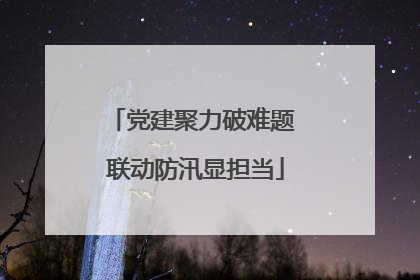 党建聚力破难题 联动防汛显担当