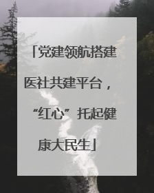 党建领航搭建医社共建平台，“红心”托起健康大民生