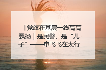 党旗在基层一线高高飘扬｜是民警、是“儿子”——申飞飞在太行山中的一线坚守