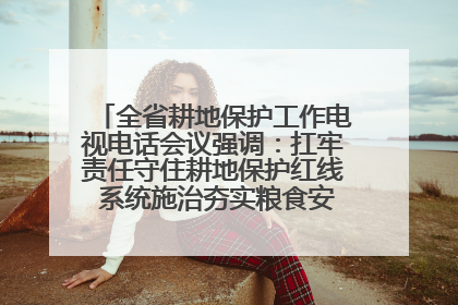 全省耕地保护工作电视电话会议强调：扛牢责任守住耕地保护红线 系统施治夯实粮食安全根基 王宁作出批示 王予波出席并讲话