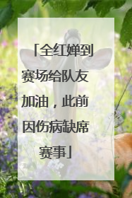 全红婵到赛场给队友加油，此前因伤病缺席赛事
