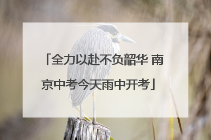 全力以赴不负韶华 南京中考今天雨中开考