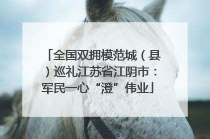 全国双拥模范城（县）巡礼江苏省江阴市：军民一心“澄”伟业