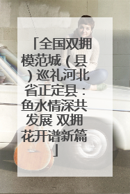 全国双拥模范城（县）巡礼河北省正定县：鱼水情深共发展 双拥花开谱新篇