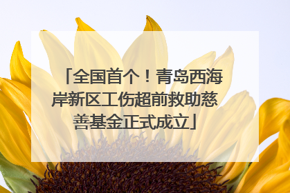 全国首个！青岛西海岸新区工伤超前救助慈善基金正式成立