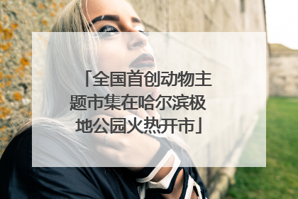 全国首创动物主题市集在哈尔滨极地公园火热开市