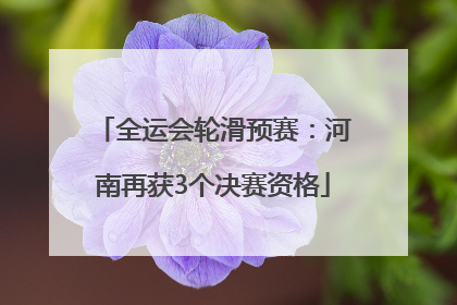 全运会轮滑预赛：河南再获3个决赛资格