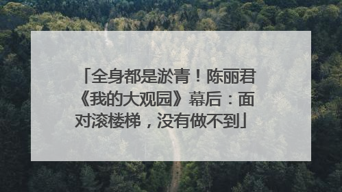 全身都是淤青！陈丽君《我的大观园》幕后：面对滚楼梯，没有做不到
