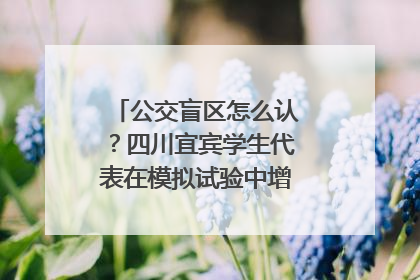 公交盲区怎么认？四川宜宾学生代表在模拟试验中增强乘车安全意识