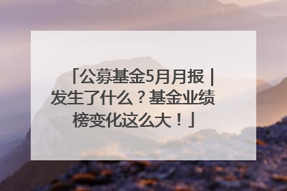 公募基金5月月报｜发生了什么？基金业绩榜变化这么大！
