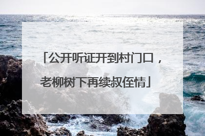 公开听证开到村门口，老柳树下再续叔侄情