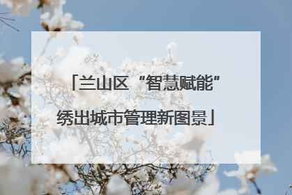 兰山区“智慧赋能”绣出城市管理新图景