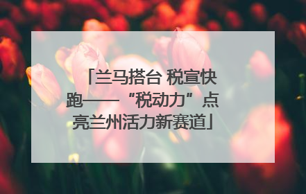 兰马搭台 税宣快跑——“税动力”点亮兰州活力新赛道