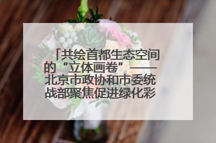 共绘首都生态空间的“立体画卷”——北京市政协和市委统战部聚焦促进绿化彩化美化生态空间建设联合协商议政