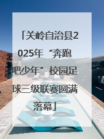 关岭自治县2025年“奔跑吧少年”校园足球三级联赛圆满落幕