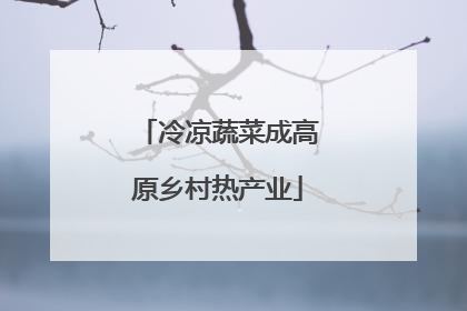 冷凉蔬菜成高原乡村热产业