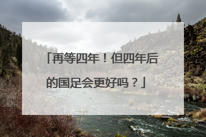 再等四年！但四年后的国足会更好吗？